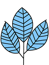 grameen bank